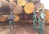 Sept agents des Eaux et Forêts attaqués et grièvement blessés dans la forêt classée de Sangouiné