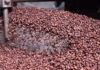 Côte d’Ivoire: Inauguration d’une des plus grandes usines de transformation de cacao du pays