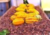 La Côte d’Ivoire va augmenter de moitié le prix de vente du cacao