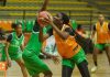 Afrobasket Féminin 2025 : Le programme des Eléphantes dévoilé