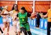 AfroBasket féminin 2025 : la Côte d’Ivoire s’incline en quarts de finale face au Sénégal (66-60)
