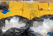 Haut-Sassandra : Deux femmes arrêtées pour trafic de drogues à Tapéguia