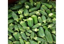 Abidjan : Le prix des différents produits vivriers sur le marché