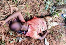 Un motocycliste décède dans un accident de la circulation sur l’axe Tottrodrou–Kouibly