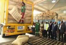 Filière Café-cacao ivoirienne : reprise des achats et apaisement après les tensions