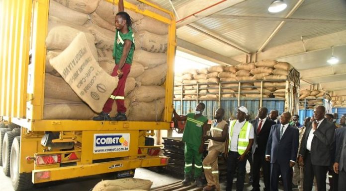 Filière Café-cacao ivoirienne : reprise des achats et apaisement après les tensions