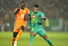 Pépé et les Eléphants, la fin ?