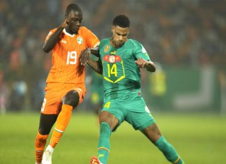 Pépé et les Eléphants, la fin ?