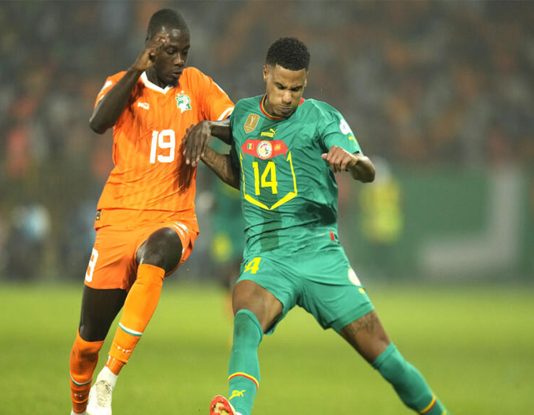 Pépé et les Eléphants, la fin ?