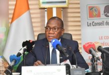 Cacao : le fonds de stabilisation protège les producteurs ivoiriens avec un prix garanti de 1 200 FCFA/kg