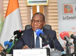 Cacao : le fonds de stabilisation protège les producteurs ivoiriens avec un prix garanti de 1 200 FCFA/kg