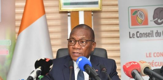 Cacao : le fonds de stabilisation protège les producteurs ivoiriens avec un prix garanti de 1 200 FCFA/kg