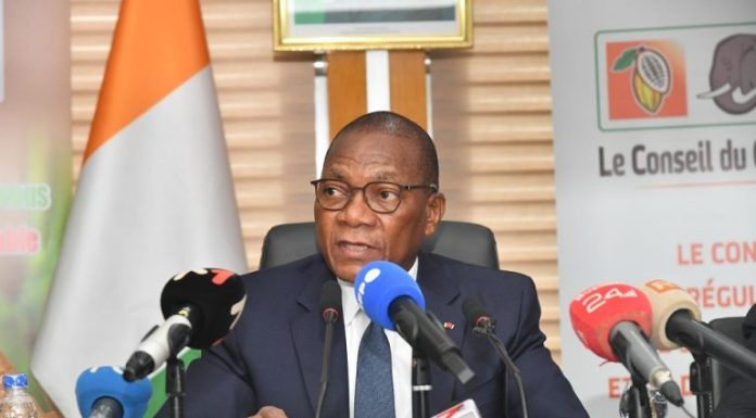 Cacao : le fonds de stabilisation protège les producteurs ivoiriens avec un prix garanti de 1 200 FCFA/kg