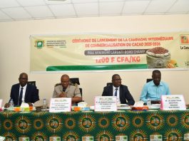 San-Pedro lance officiellement la campagne intermédiaire de cacao 2025-2026
