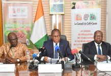 Campagne intermédiaire 2025-2026 : le prix minimum garanti bord champ du cacao fixé à 1200 F CFA/kg