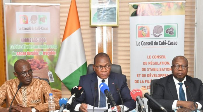 Campagne intermédiaire 2025-2026 : le prix minimum garanti bord champ du cacao fixé à 1200 F CFA/kg