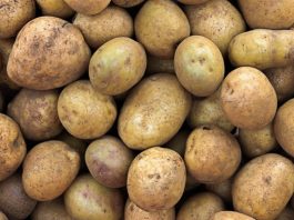 Abidjan : Le prix des denrées alimentaires sur le marché