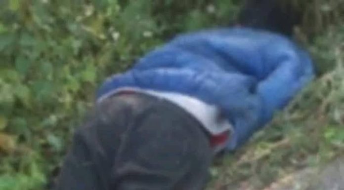 Un chasseur tue accidentellement son compagnon lors d’une partie de chasse à Latokaha