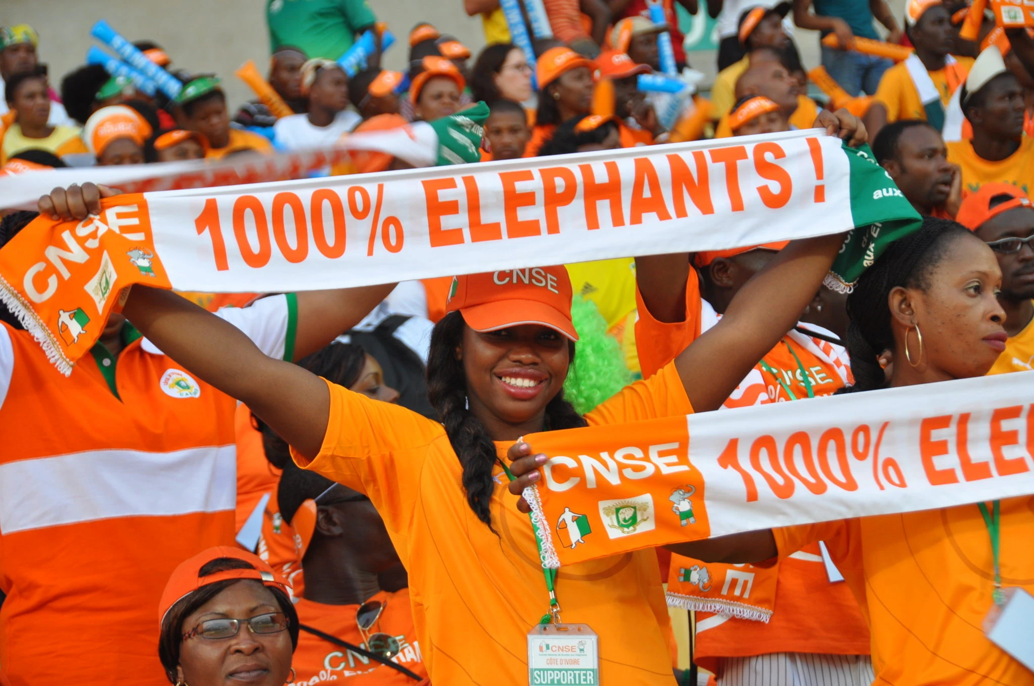 Eléphants