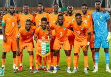 CDM26 / Choc Allemagne – Côte d’Ivoire : RENFORT DE POIDS ET CONSIGNES DE SECURITE POUR LES ÉLEPHANTS !