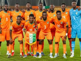 CDM26 / Choc Allemagne – Côte d’Ivoire : RENFORT DE POIDS ET CONSIGNES DE SECURITE POUR LES ÉLEPHANTS !