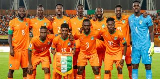 CDM26 / Choc Allemagne – Côte d’Ivoire : RENFORT DE POIDS ET CONSIGNES DE SECURITE POUR LES ÉLEPHANTS !