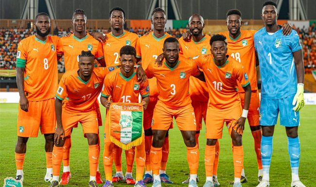 CDM26 / Choc Allemagne – Côte d’Ivoire : RENFORT DE POIDS ET CONSIGNES DE SECURITE POUR LES ÉLEPHANTS !